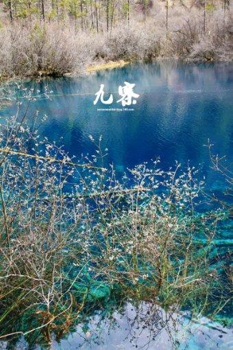 励志古诗词经典名句游戏画面