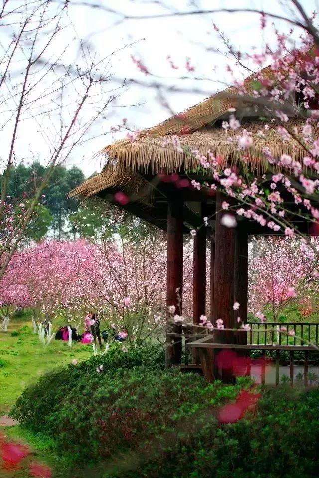 泡泡袖夏装
