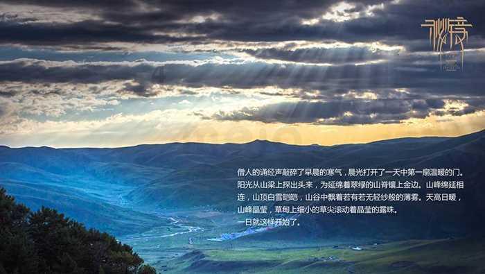 信阳毛尖什么品牌好