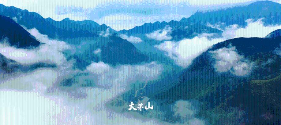 三小只僵尸的游戏时间9