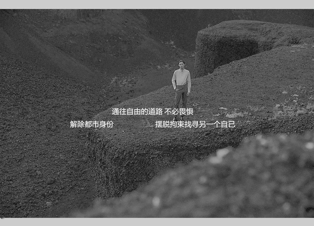 漂亮鹦鹉救援