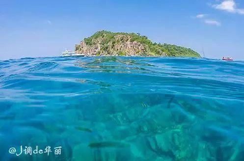 俄罗斯小怪