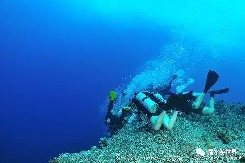 海王星VS僵尸军团
