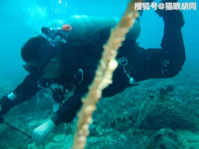 逃离小怪世界