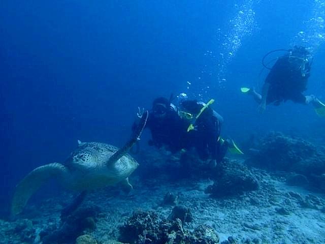 共邀东北“老铁”来耍 长寿与东北地区旅行社达成游客互送合作