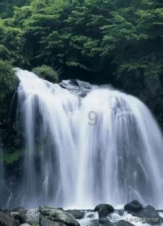 救援男孩贝利