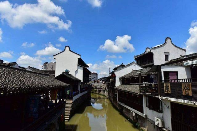 逃离水虎鱼湖